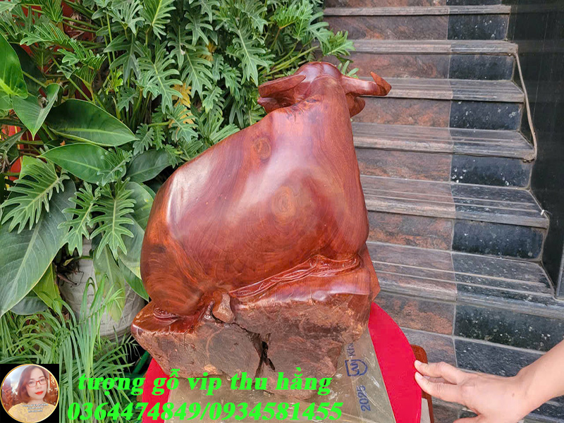 màu săc đồng đều ,bắt mắt